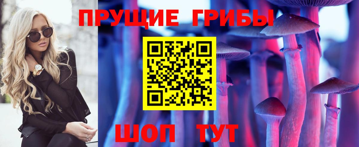 Псилоцибиновые грибы мицелий  Вход с VPN  Апатиты 